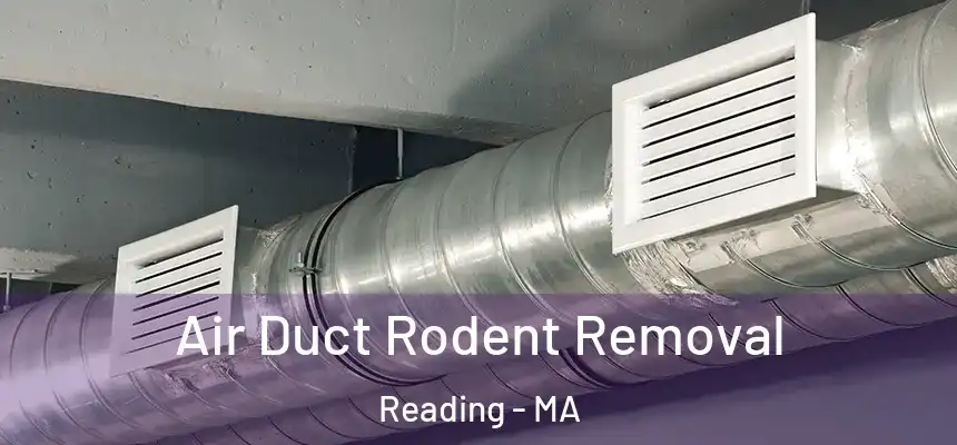 Air Duct Rodent Removal Reading - MA