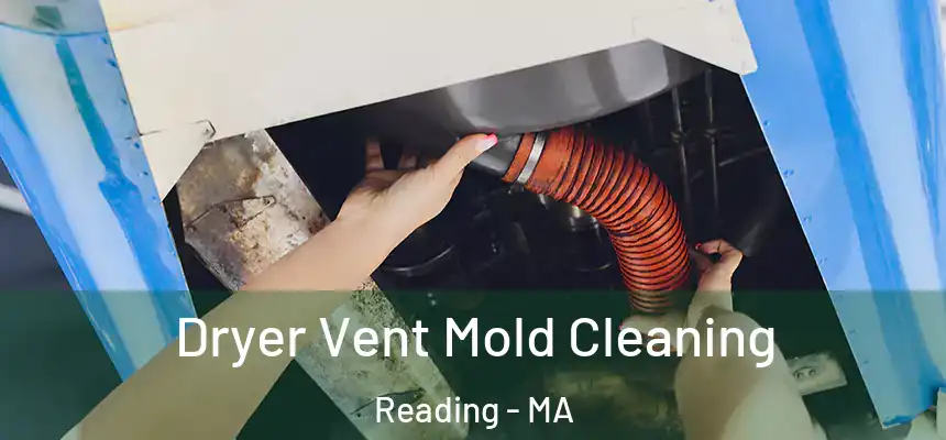 Dryer Vent Mold Cleaning Reading - MA