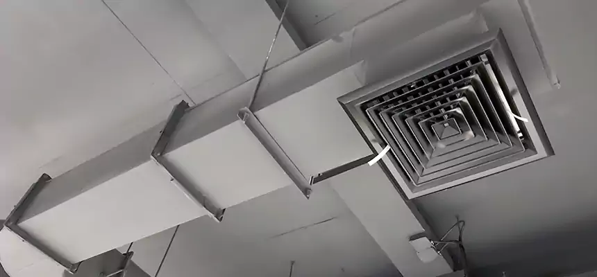 Our Pest Removal From Ducts Services in Reading, MA