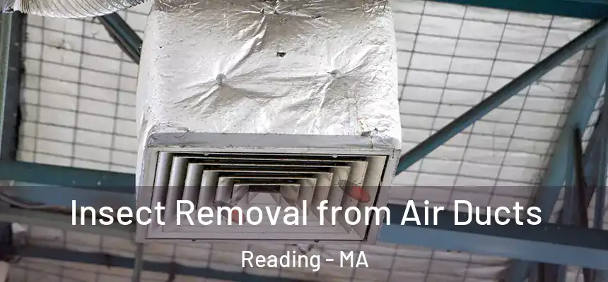 Insect Removal from Air Ducts Reading - MA
