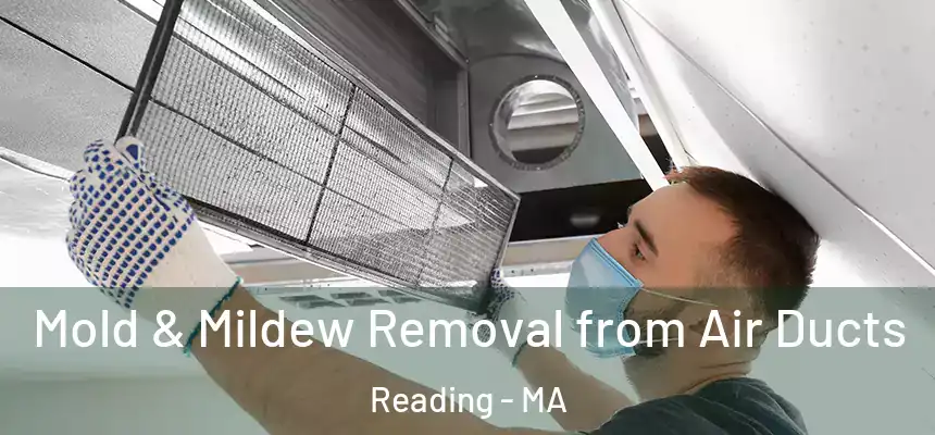 Mold & Mildew Removal from Air Ducts Reading - MA