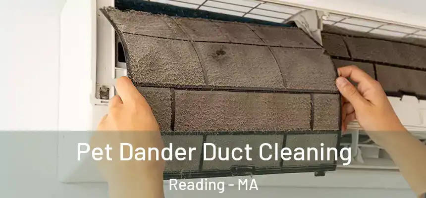 Pet Dander Duct Cleaning Reading - MA