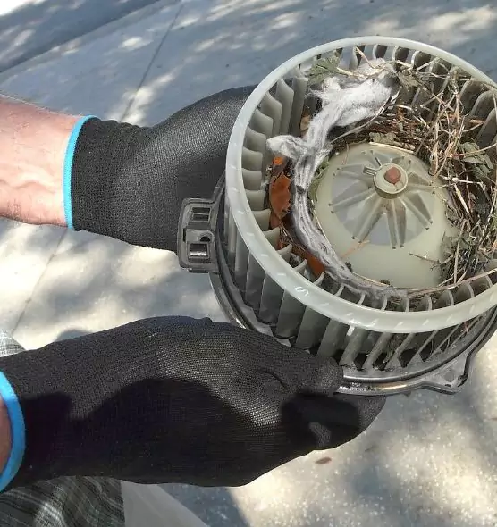 About Air Duct Rat Removal in Reading, MA