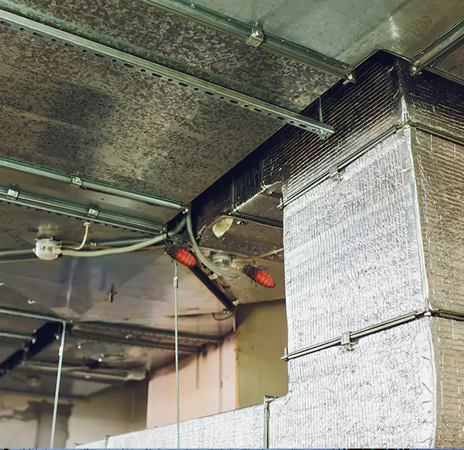 Why Homeowners & Businesses Trust Us in Reading, MA?