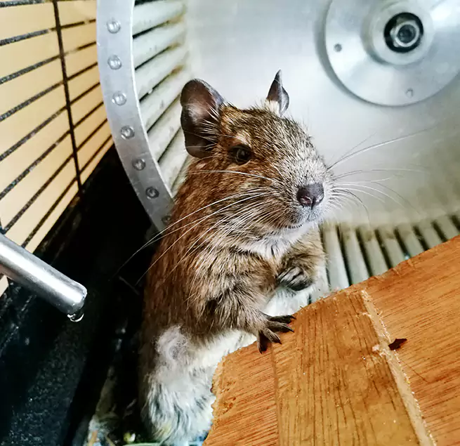 Why Homeowners & Businesses Trust Us Reading, MA