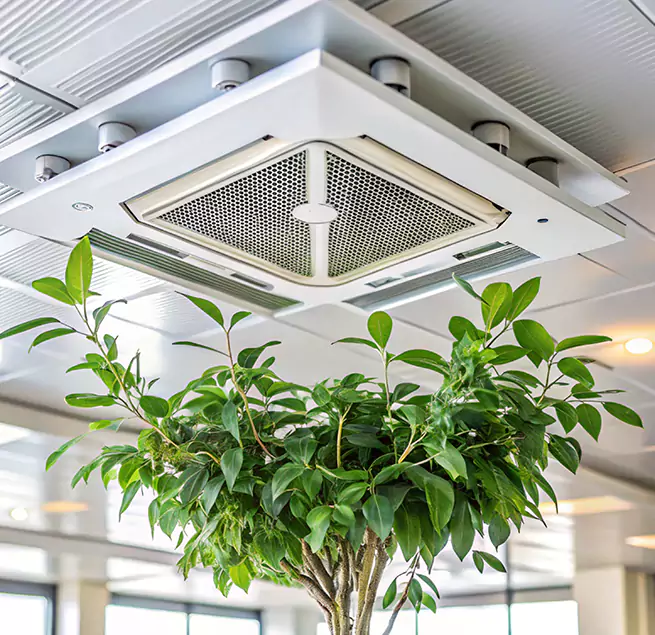 Why Homeowners & Businesses Trust Us in Reading, MA