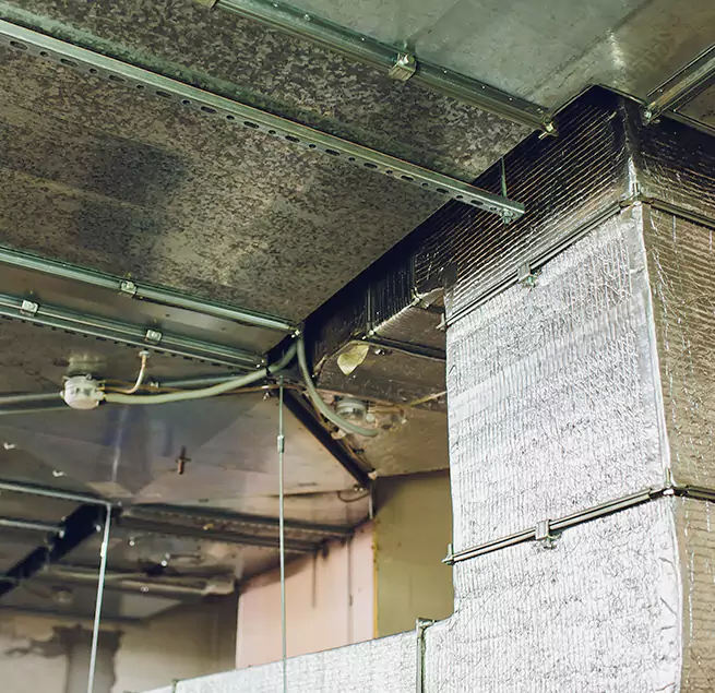 Why Homeowners & Businesses Trust Us in Reading, MA?